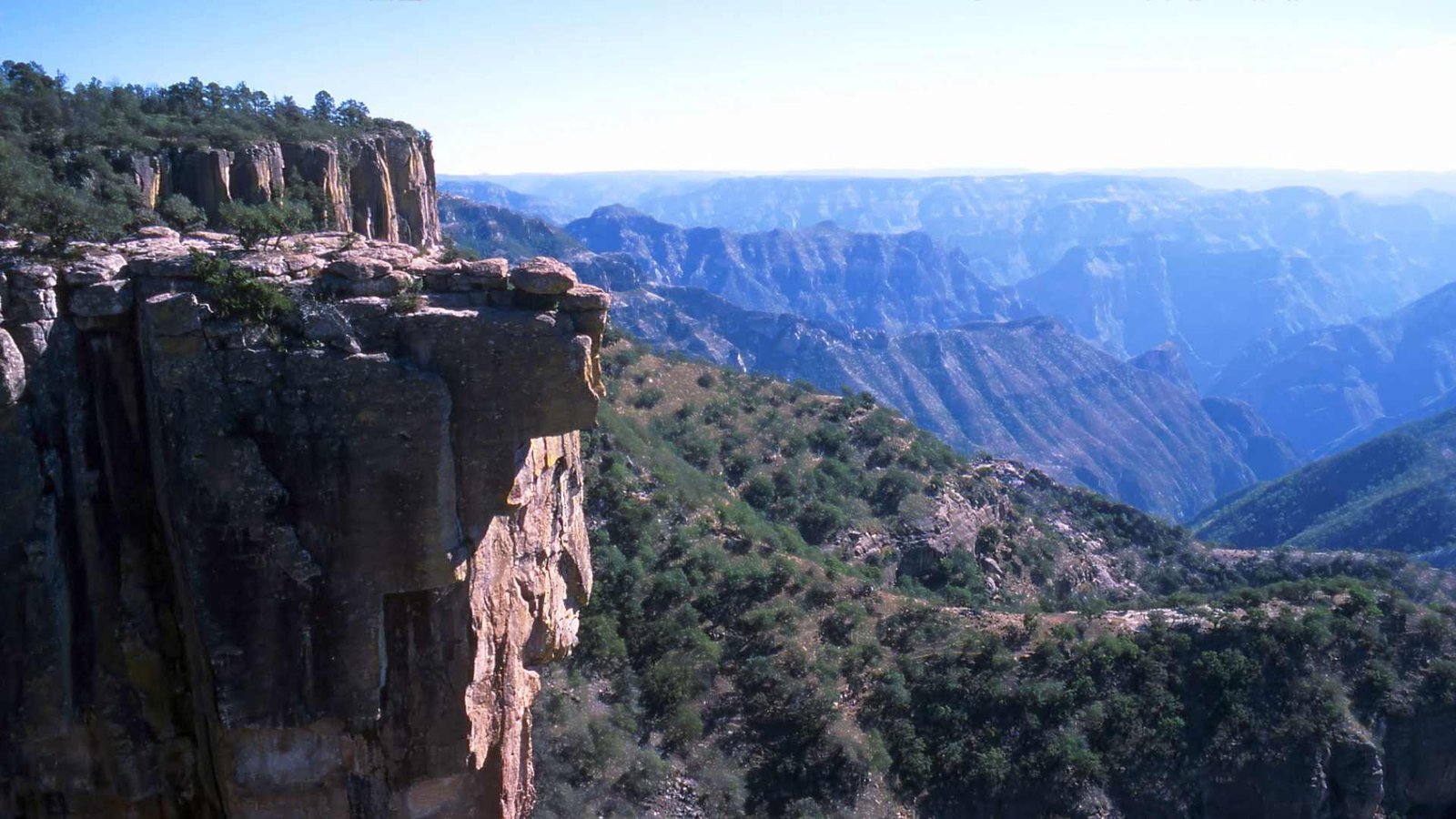 copper canyon