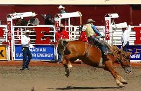 calgary stampede
