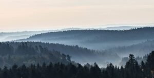 Schwarzwald: