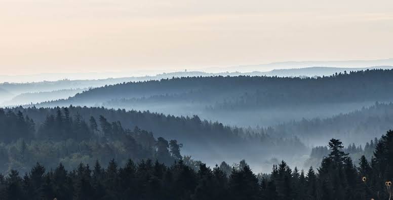 Schwarzwald: