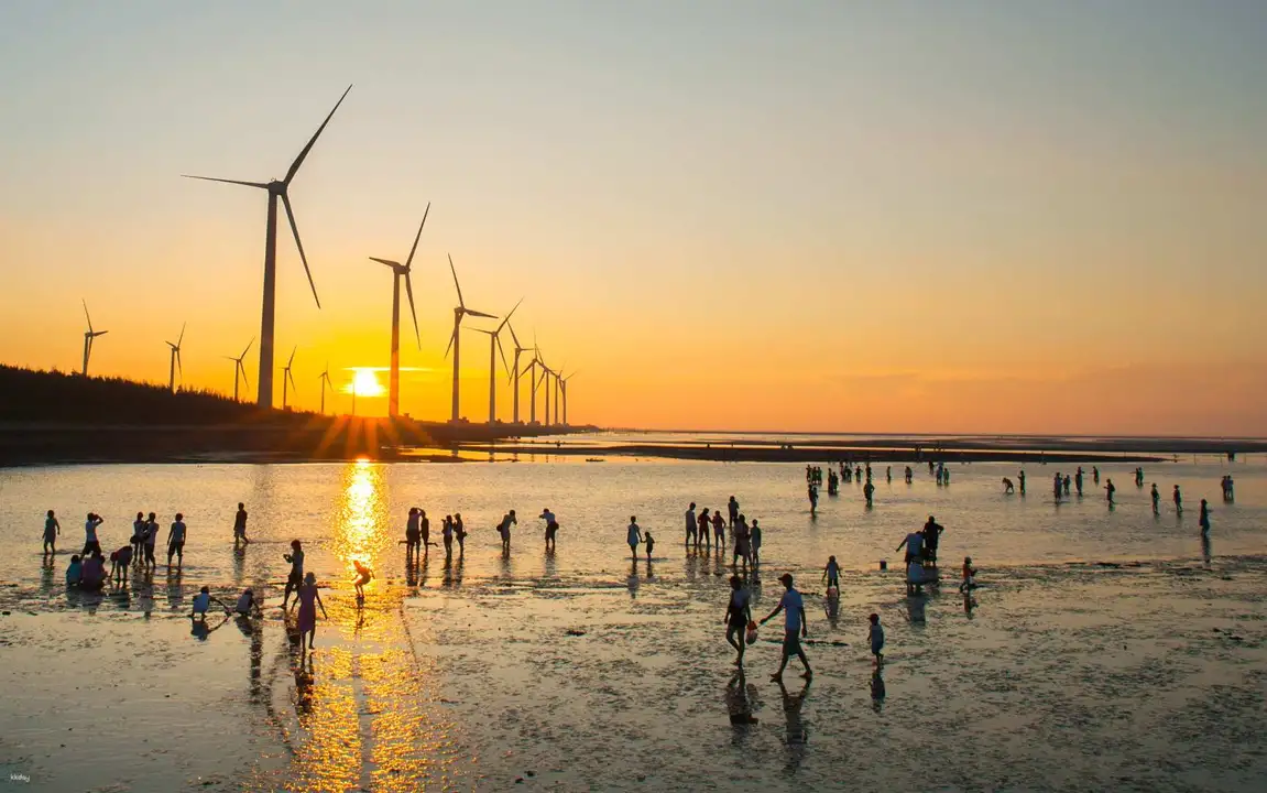 Gaomei Wetlands: