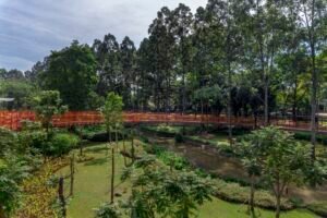 Maolin Eco Park: 